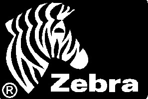 3006493 Zebra Z-Ultimate 3000T, original silver polyester labels, 38mm x 19mm, 3 720, core Ø25mm 